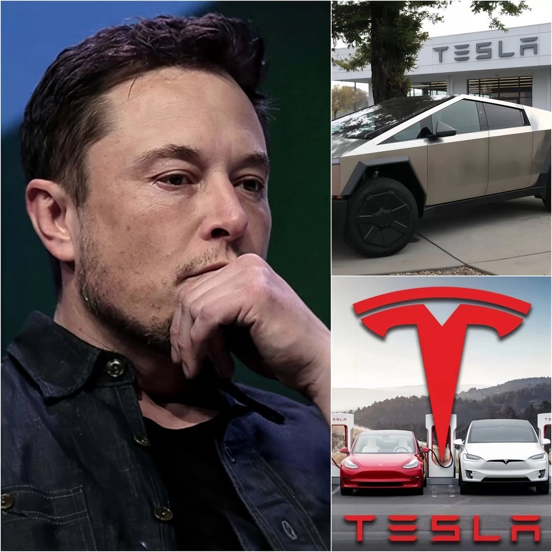 Elon Musk keeps getting bad news: Tesla car returns are at an all-time high, loyal customers are turning away, market share is at high risk of falling into the hands of competitors, and the amount of money Elon Musk has lost will leave you incredulous…